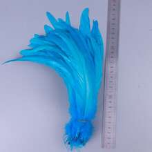 20pcs 25-45cm Wholesale Artificial Rooster Feathers Headwear Wedding Party Clothing DIY Plume Home Decoration Accessories - Multicolor - View 6