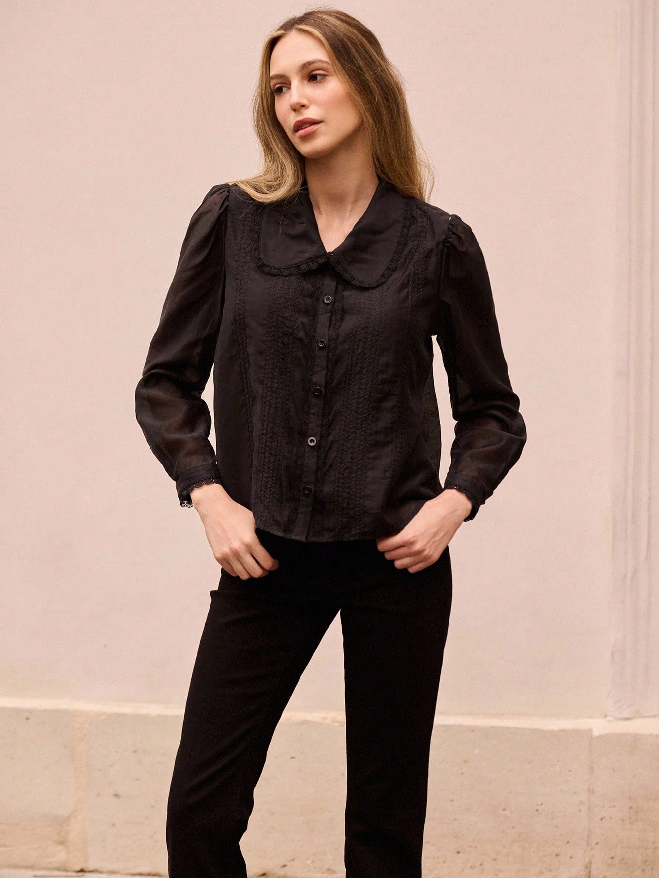 Black Sheer Embroidered Organza Blouse With Peter Pan Collar Office Business Casual Top Spring Summer French Style Parisian Style