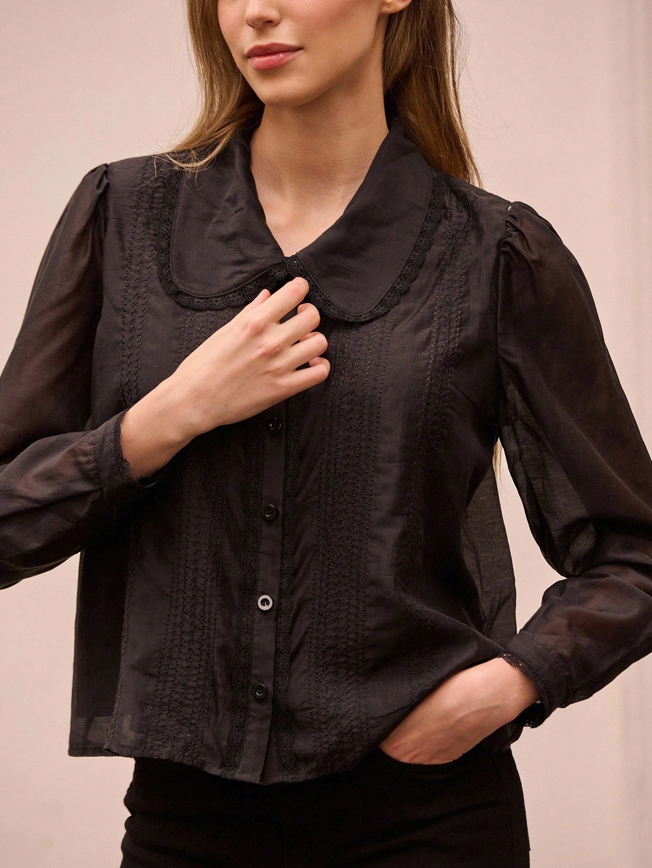 Black Sheer Embroidered Organza Blouse With Peter Pan Collar Office Business Casual Top Spring Summer French Style Parisian Style