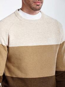 Manfinity CityGents Men's Colorblock Crew Neck Casual Pullover Sweater Striped Sweater, Brown Khaki Sweater, Suitable For Going Out, Going To Work, Working, Playing It Is Great For Couples And Makes An Excellent Gift Idea For Boyfriends Or Husbands, Fall/Winter - Multicolor - View 2