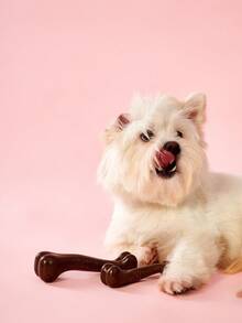 PETSIN Dog Chew Toy Bone - Durable & Tough For Aggressive Chewers, Teeth Cleaning, Bite Training, Stress Relief - Multicolor - View 1