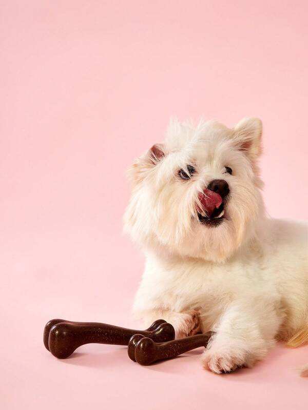 PETSIN Dog Chew Toy Bone - Durable & Tough For Aggressive Chewers, Teeth Cleaning, Bite Training, Stress Relief