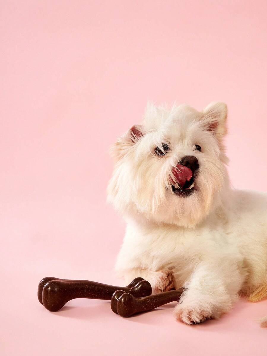 PETSIN Dog Chew Toy Bone - Durable & Tough For Aggressive Chewers, Teeth Cleaning, Bite Training, Stress Relief - Multicolor - View 1