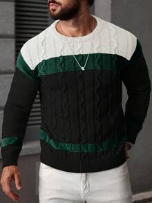 Manfinity Homme Men's Casual Colorblock Cable Knit Crew Neck Long Sleeve Sweater, Autumn/Winter - Multicolor - View 4