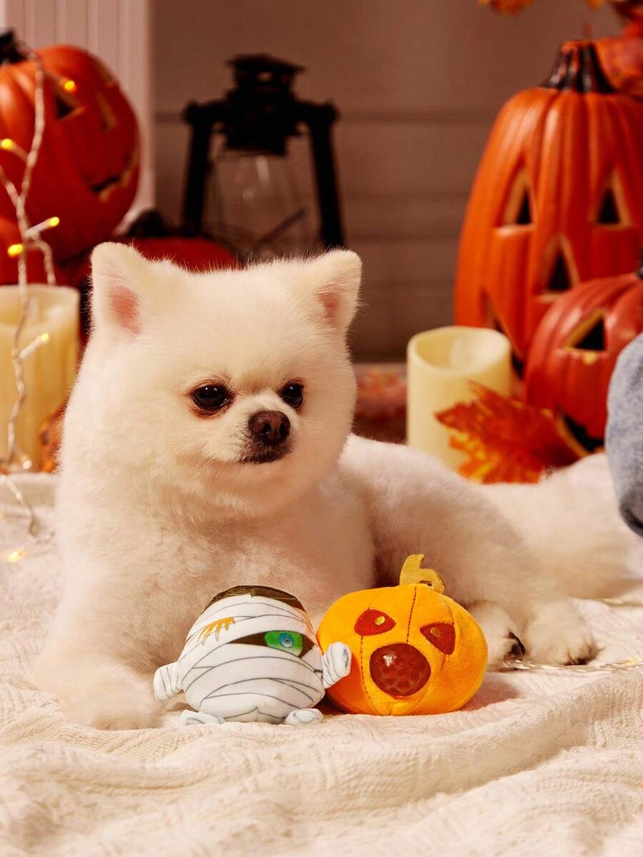 PETSIN 1 PC Halloween Pet Funny Pet Relaxation Toys - Multicolor - View 1