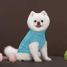 PETSIN 一件蓝色短款秋冬加厚针织防风保暖休闲宠物毛衣 - 藍色 - 查看 4