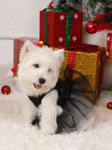 PETSIN Christmas Sequin Mesh Pet Dress, Black - Black - View 3