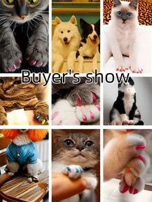 20 PCS Pet Nail Caps Anti Scratch Claws Covers For Cats And Dogs Soft Comfortable  Breathable Universal Size Assorted Colors Easy To Apply Pet Supplies - Multicolor - View 2