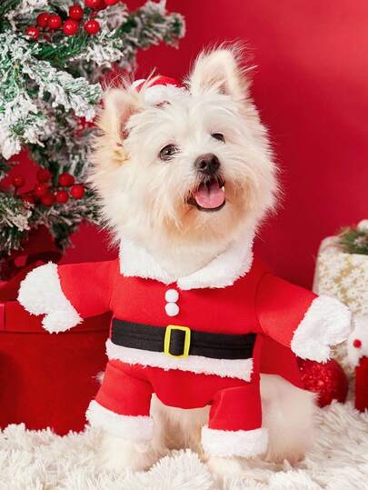PETSIN 1 conjunto de fantasia de Papai Noel, chapéu de Papai Noel, roupas de inverno para gatos, roupas para cachorro ficar em pé sobre dois pés, Natal, decorações de Natal