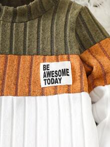 2 件套幼儿男童休闲基本款字母贴花撞色拼色羊毛圆领运动衫和运动裤，适合秋冬季户外穿着，百搭舒适 - 彩色 - 查看 8