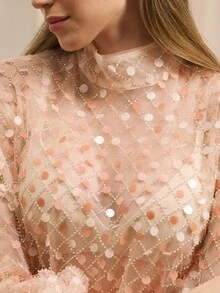 lacRébo Sheer Sequin Embellished High Neck Long Sleeve Top Party Top Sequin Top Pink Top Evening Chic Autumn Winter Premium Top Party Top See Through Tops Shiny Top Sparky Dress Christmas New Year Party Outfits