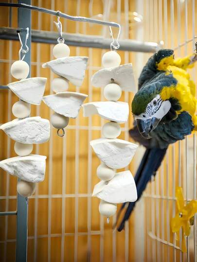1PC Cuttlebone Wood Beads Parrot Chew Toy Hanging Foraging Activity Play Gym Cage Decor Bird Toys Accessories