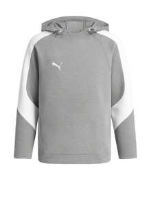 Puma TeamEVOSTRIPE Men's Hoody Grey - Gray - View 1