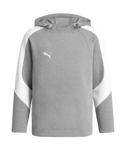 Puma TeamEVOSTRIPE Men's Hoody Grey