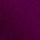 Violet Purple