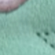 Green Violet