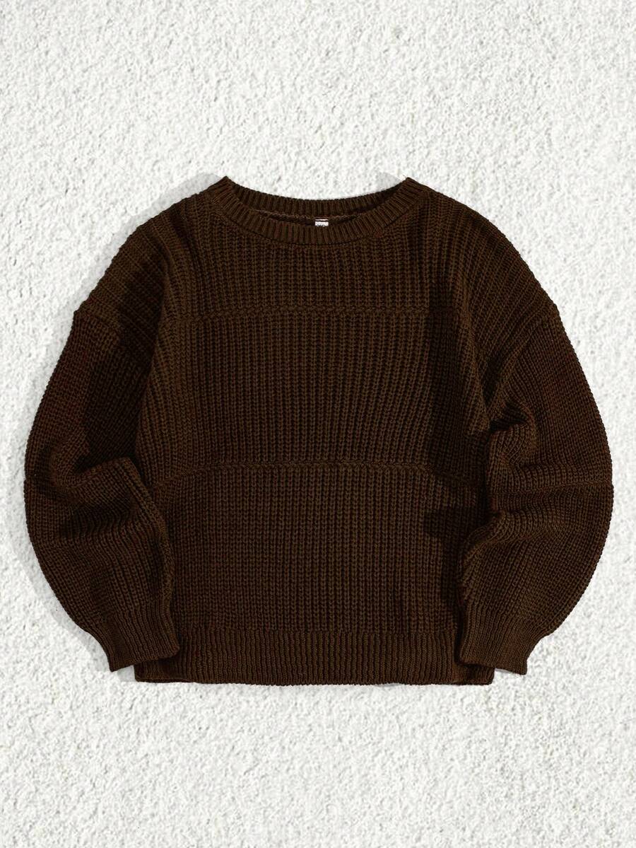SHEIN Cottnline Petite Size Casual Rib Knit Crew Neck Women Sweater - Brown - View 1