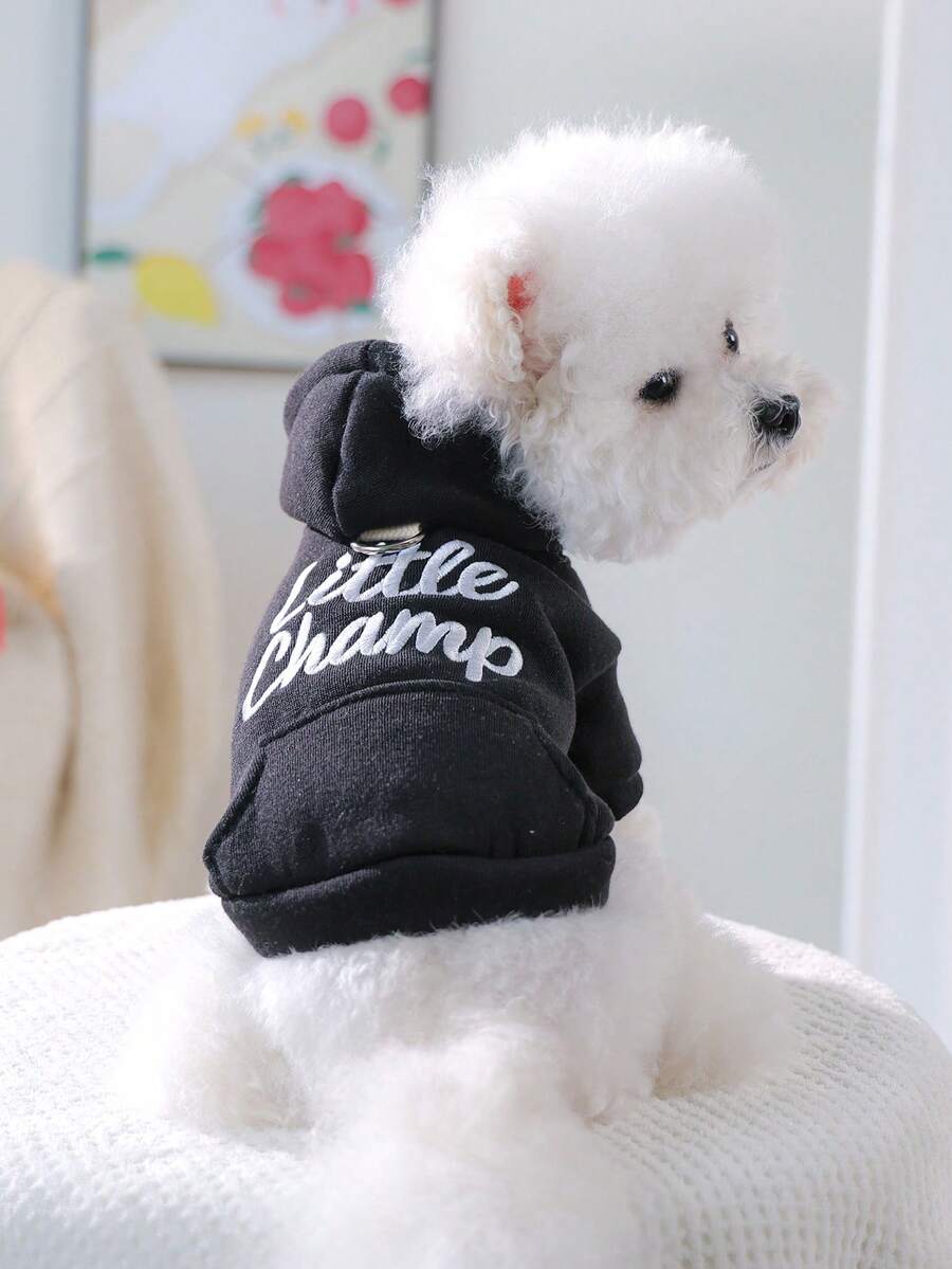 PETSIN 1pc Pet Clothing, Cat And Dog Universal Clothes, Black Hooded Jacket With Embroidered Letters In Spring And Autumn, Casual Wear - 黑色 - 查看 1