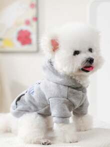 1pc Pet Clothing, Cute Embroidered Gray Koala Autumn And Winter Warm Hoodie, Cats And Dogs Wear Warm And Comfortable Jackets - 淺灰色 - 查看 5