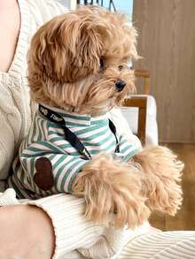 PETSIN 1 件宠物猫狗通用圆领连帽衫经典条纹针织弹力舒适基本款时尚狗狗 T 恤 - 彩色 - 查看 1