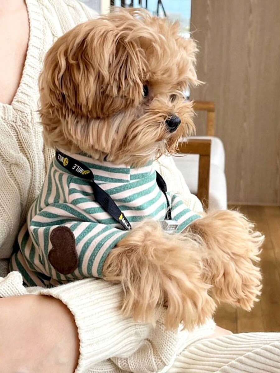 PETSIN 1 件宠物猫狗通用圆领连帽衫经典条纹针织弹力舒适基本款时尚狗狗 T 恤 - 彩色 - 查看 1