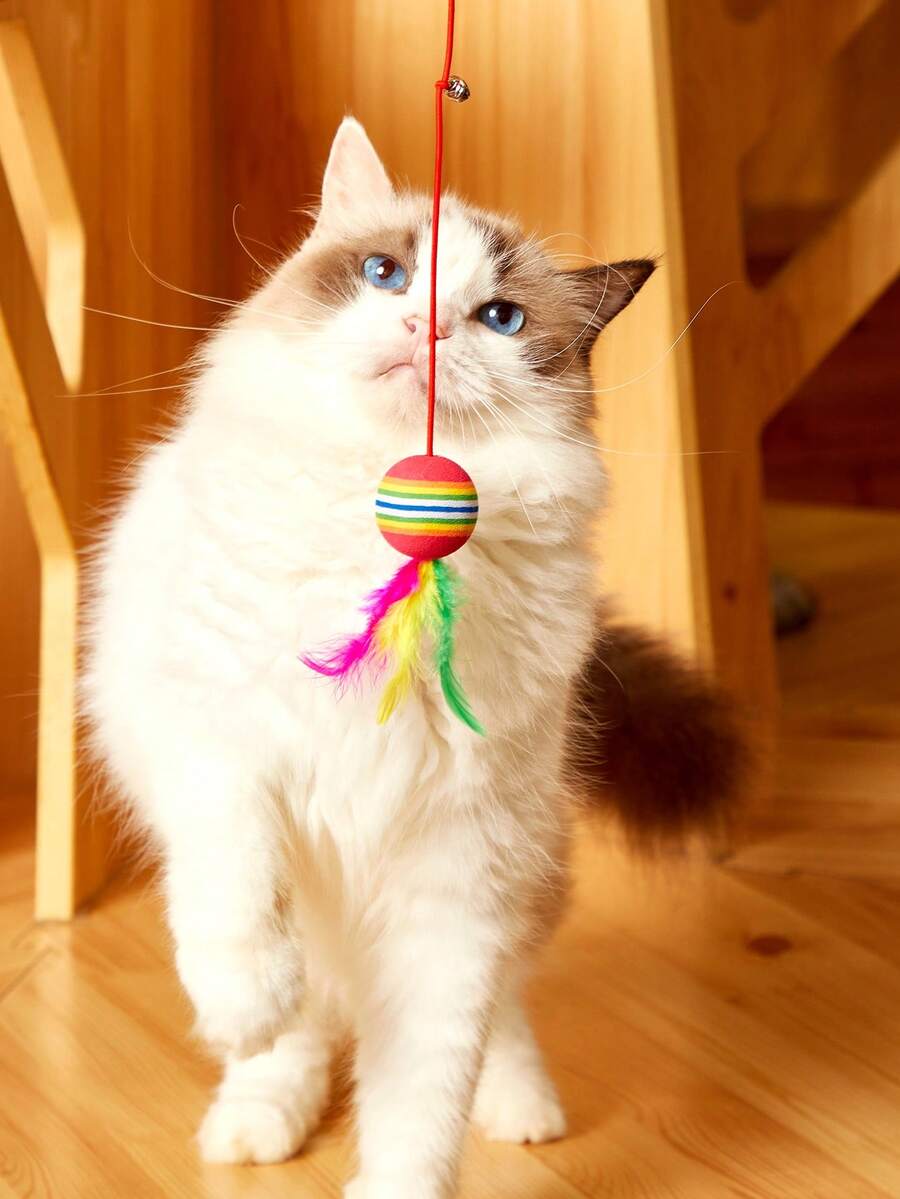 PETSIN Juguetes para gatos, varilla de juego, múltiples estilos, varilla de juego con plumas, gatitos, gatos adultos, relajación interactiva, juguetes de diversión propia para gatos - Multicolor - Ver 1