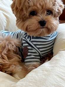 PETSIN 1 件宠物猫狗通用圆领连帽衫经典条纹针织弹力舒适基本款时尚狗狗 T 恤 - 彩色 - 查看 7