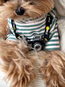 PETSIN 1 件宠物猫狗通用圆领连帽衫经典条纹针织弹力舒适基本款时尚狗狗 T 恤 - 彩色 - 查看 5