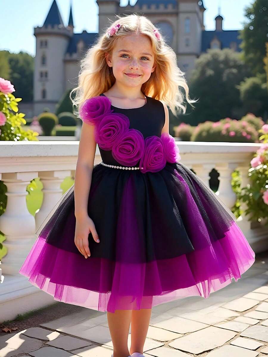 Váy công chúa phồng vải tuyn lưới hoa 3D màu đen và tím cho bé gái mặc Halloween, trang phục dự tiệc ngày lễ, Giáng sinh, tiệc sinh nhật