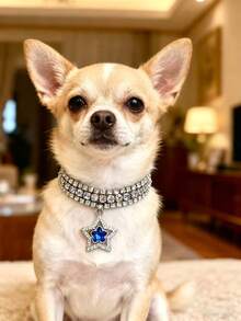 PETSIN 1 件宠物星形水钻项链，可调节颈围，猫项链，狗项链，宠物配饰，宠物用品 - 彩色 - 查看 3