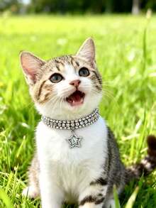 PETSIN 1 件宠物星形水钻项链，可调节颈围，猫项链，狗项链，宠物配饰，宠物用品 - 彩色 - 查看 16