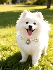 1 件装宠物珍珠玫瑰心形项圈可调节颈围猫项圈狗项圈宠物配件宠物用品 - 彩色 - 查看 3