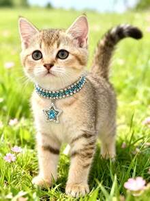 PETSIN 1 件宠物星形水钻项链，可调节颈围，猫项链，狗项链，宠物配饰，宠物用品 - 彩色 - 查看 18