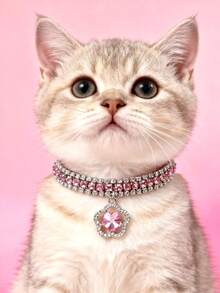 PETSIN 1 件宠物花水钻项链，可调节颈围，猫项链，狗项链，宠物配件，宠物用品