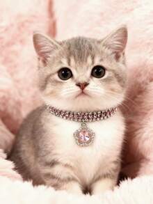 PETSIN 1 件宠物花水钻项链，可调节颈围，猫项链，狗项链，宠物配件，宠物用品