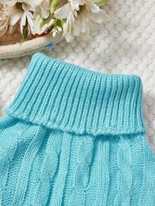 PETSIN 1 Piece Of Sky Blue Long Autumn And Winter Thick Knitted Windproof And Warm Casual Pet Dress Sweater - Sky Blue - View 9