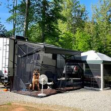 SHEIN Basic living 1PC Multifunctional DIY Mosquito Net Fabric Outdoor Garden Net - Mosquito And Bird Barrier, Polyester Mesh With Foldable And Removable , Perfect For Patios, Gardens, Camping, Windows - Available In Black Or White, Various Sizes, Breathable Design | Protective Garden Screen, Plant Protection