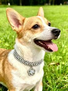 PETSIN 1 件宠物花水钻项链，可调节颈围，猫项链，狗项链，宠物配件，宠物用品