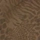 متعدد الألوان