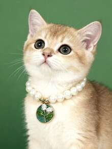 PETSIN قلادة قطة أو كلب بقلادة زهرة اللؤلؤ، قابلة للتعديل الحجم، إكسسوار ديكور للحيوانات الأليفة، مستلزمات الحيوانات الأليفة - متعدد الألوان - مشاهدة 8