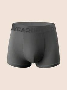 Manfinity Underwear&Sleepwear Basics 6pcs/Pack Plus Size Men's Assorted Color Letter Waistband Boxer Briefs - Multicolor - View 7