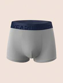 Manfinity Underwear&Sleepwear Basics 6pcs/Pack Plus Size Men's Assorted Color Letter Waistband Boxer Briefs - Multicolor - View 4