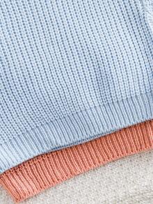 SHEIN Newborn Baby Girl Cute Versatile Solid Color Long Sleeve Sweater, Autumn/Winter - Baby Blue - View 4