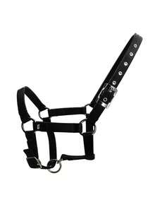 耐磨织带马缰绳、缰绳、马术缰绳、马厩装备、遛马牵引绳、织带缰绳