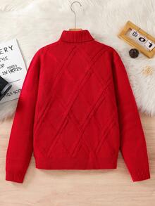 SHEIN 青少年男孩休闲纹理纯色高领落肩长袖针织毛衣，简约百搭，适合圣诞节、居家、通勤、学校、日常休闲、度假、户外、派对、秋冬