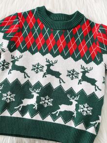 SHEIN 4 件圣诞格子绿色毛衣，男女通用婴儿冬季服装，家庭装妈妈和我 - 彩色 - 查看 10