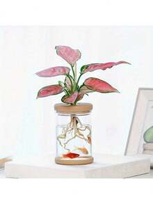 1pc Transparent Hydroponic Flower Pots Resembling Glass Small Flower Pots, Soilless Planting Small Pots, Green Plants, Resin Window Sills, Flower Pots, Garden Tool