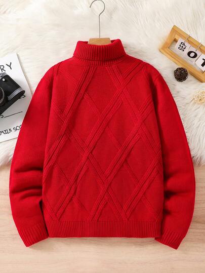 SHEIN 青少年男孩休闲纹理纯色高领落肩长袖针织毛衣，简约百搭，适合圣诞节、居家、通勤、学校、日常休闲、度假、户外、派对、秋冬
