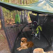 SHEIN Basic living 1PC Multifunctional DIY Mosquito Net Fabric Outdoor Garden Net - Mosquito And Bird Barrier, Polyester Mesh With Foldable And Removable , Perfect For Patios, Gardens, Camping, Windows - Available In Black Or White, Various Sizes, Breathable Design | Protective Garden Screen, Plant Protection