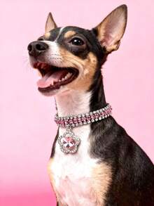 PETSIN 1 件宠物花水钻项链，可调节颈围，猫项链，狗项链，宠物配件，宠物用品